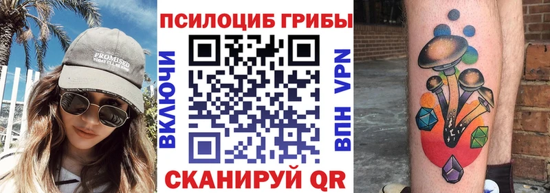 Псилоцибиновые грибы Magic Shrooms  где продают наркотики  Щёлково 